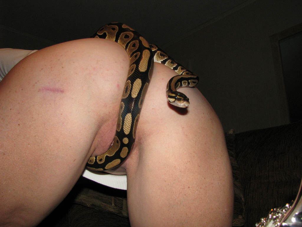 En vacker, välformad, mogen kvinna med stor, underbar, välformad häck