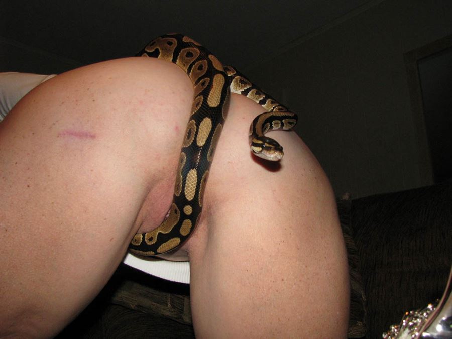 En vacker, välformad, mogen kvinna med stor, underbar, välformad häck